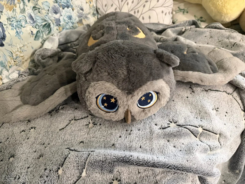 Hibou gris sur une couverture
