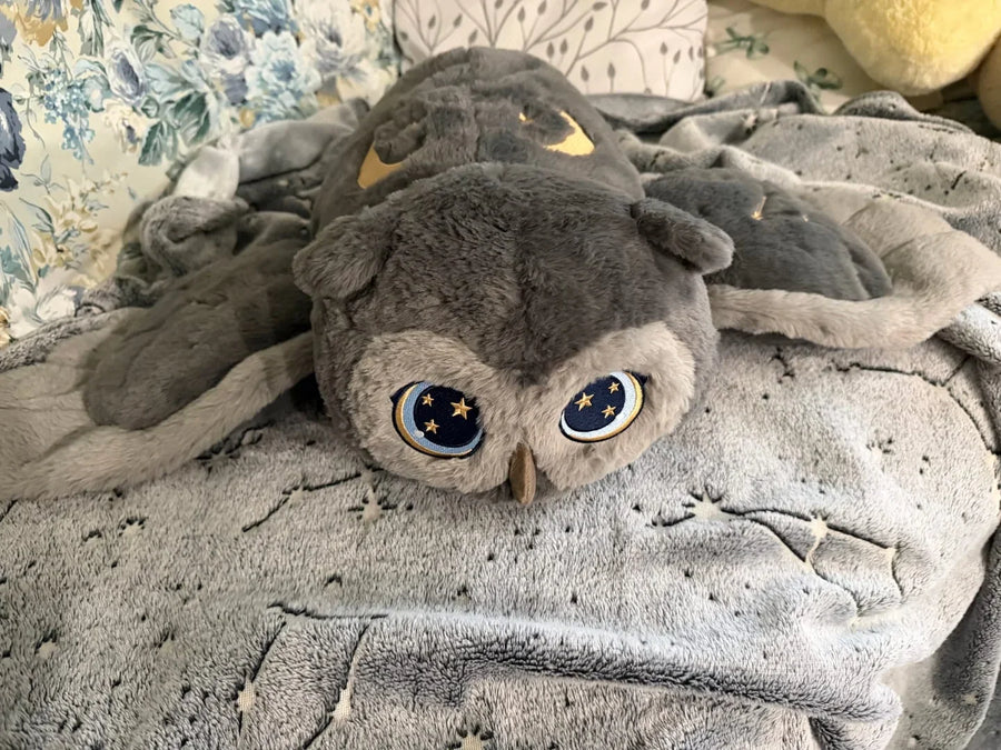 Hibou gris sur une couverture
