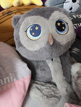 Hibou gris présenté de face