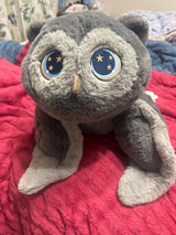 Hibou gris sur une couverture rouge