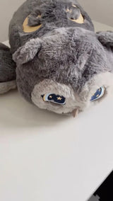 Hibou gris, vue rapprochée sur une table